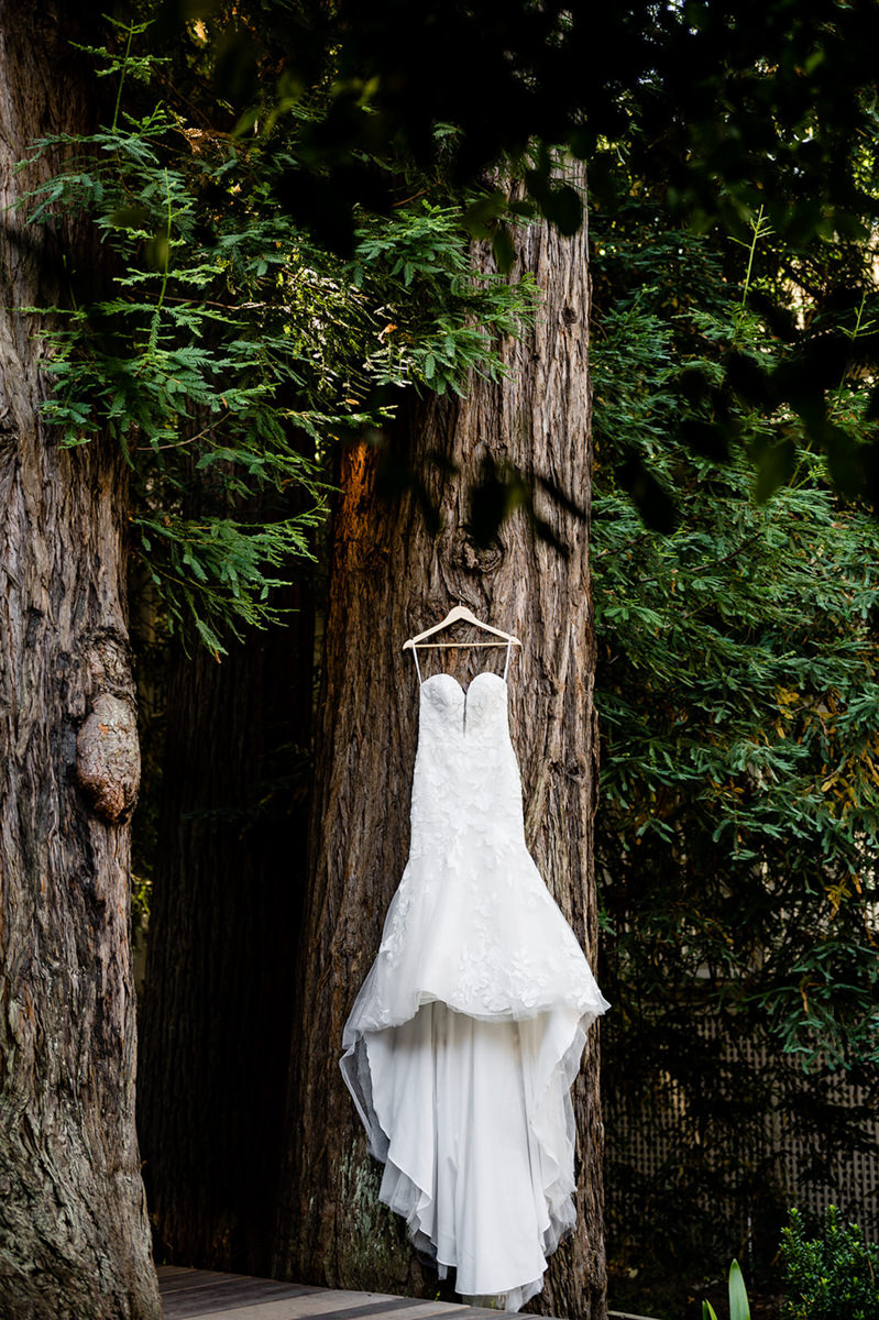 Alisha + Jimmy Wedding mountain terrace woodside wedding photography 1 1