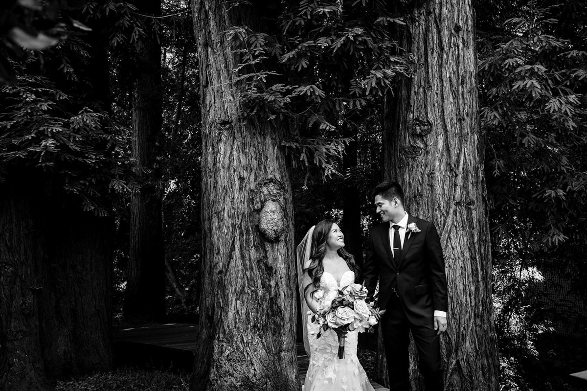 Alisha + Jimmy Wedding mountain terrace woodside wedding photography 29 1