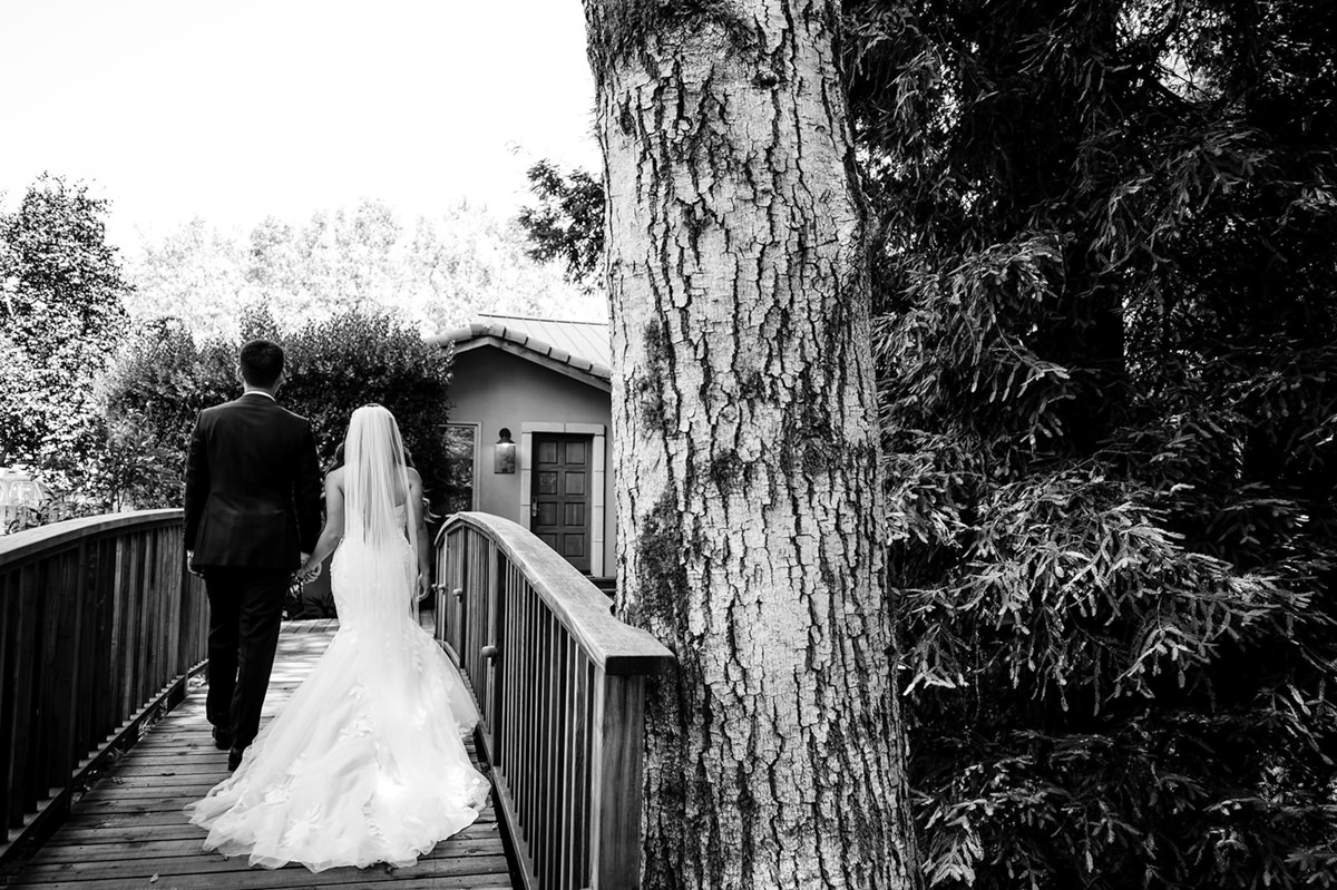 Alisha + Jimmy Wedding mountain terrace woodside wedding photography 35 1
