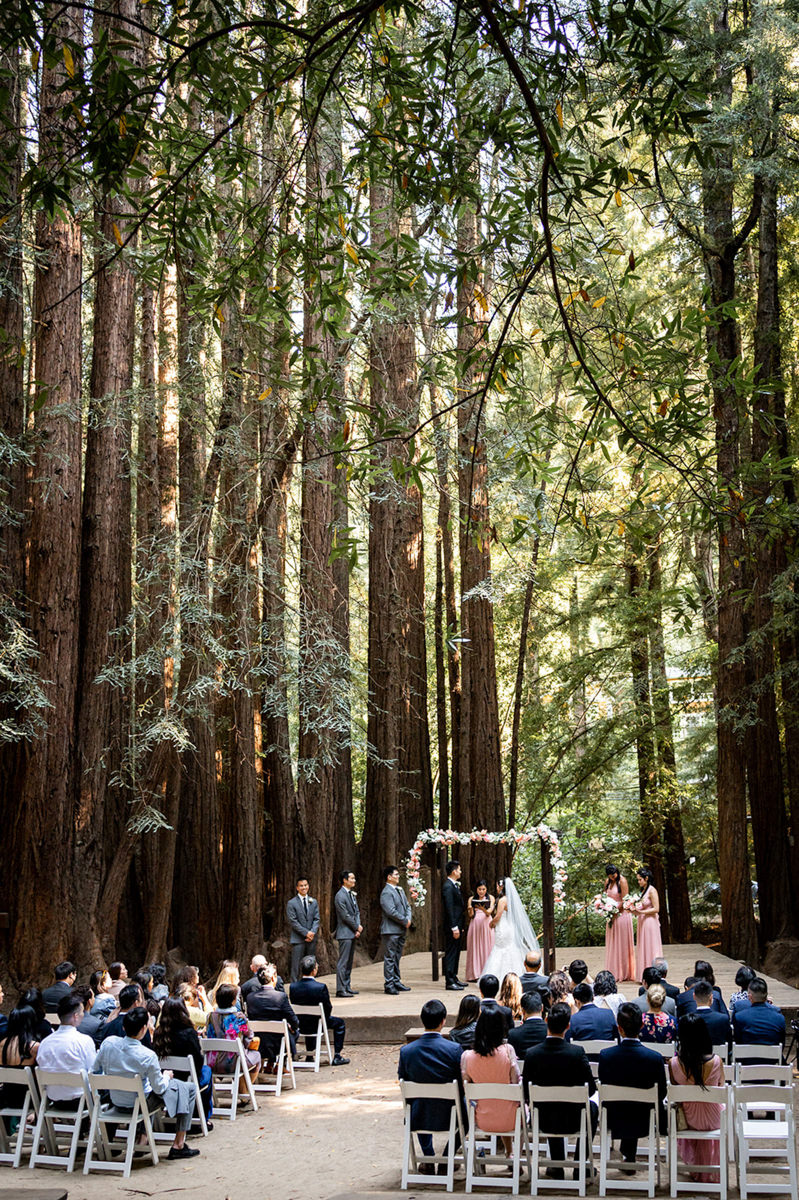 a group of people under a canopy of trees at a a bride and groom walking down a path in a forest at a Old Mill Park wedding