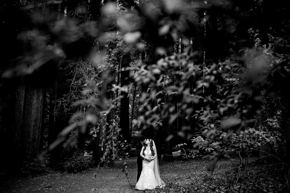 Alisha + Jimmy Wedding mountain terrace woodside wedding photography 82 1