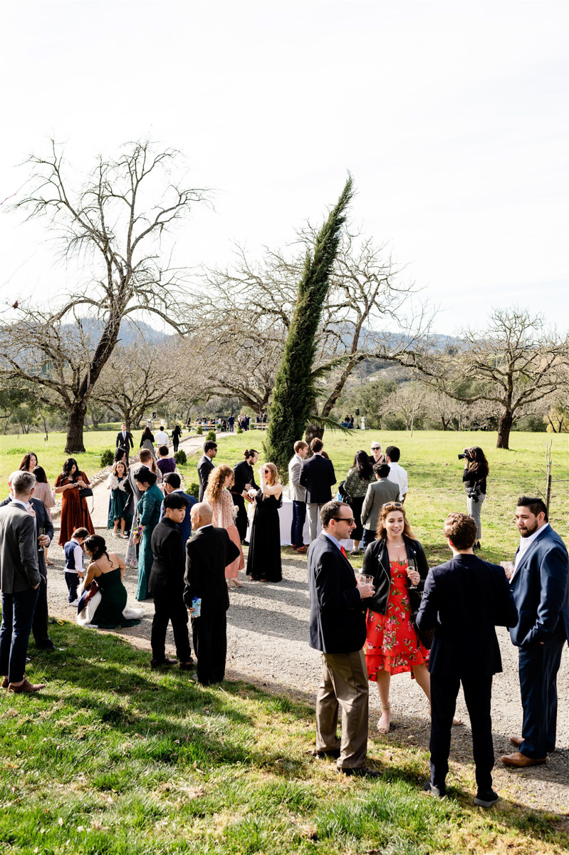 triple s ranch calistoga wedding photography 31