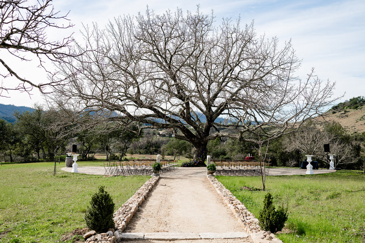 triple s ranch calistoga wedding photography 32