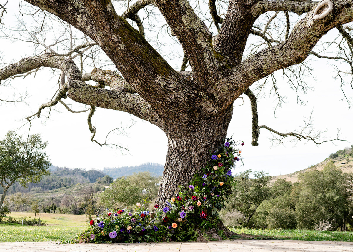 triple s ranch calistoga wedding photography 33