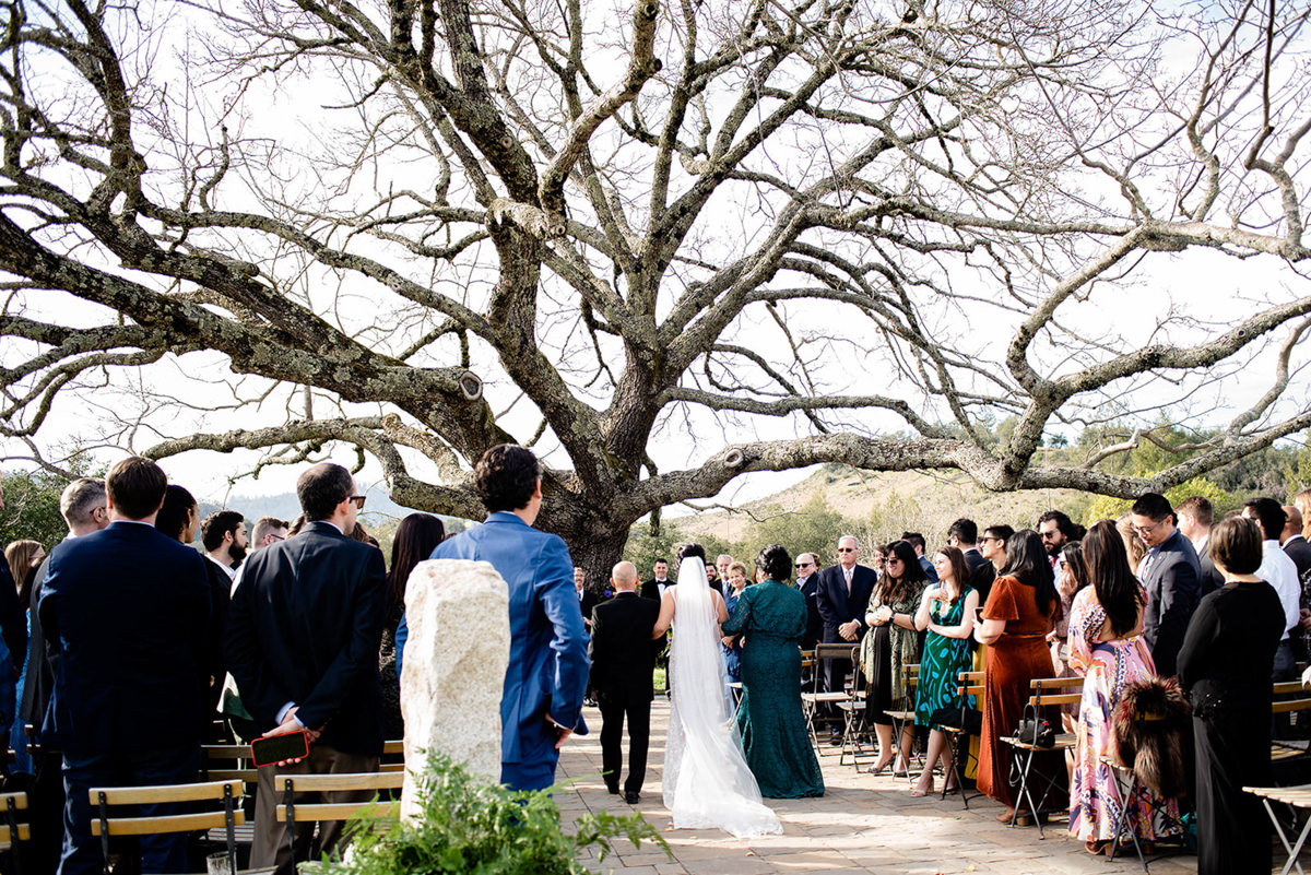 triple s ranch calistoga wedding photography 40