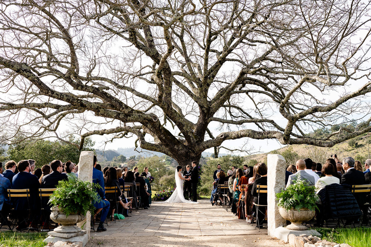 triple s ranch calistoga wedding photography 43