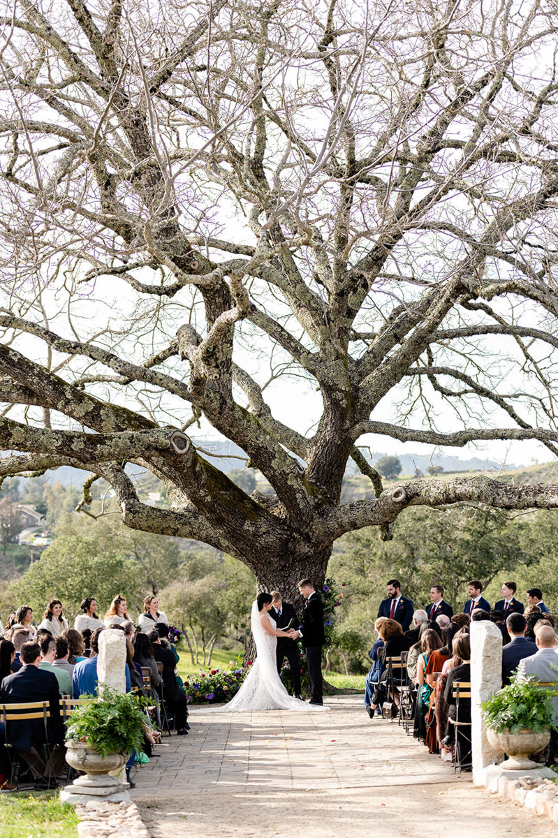 triple s ranch calistoga wedding photography 47