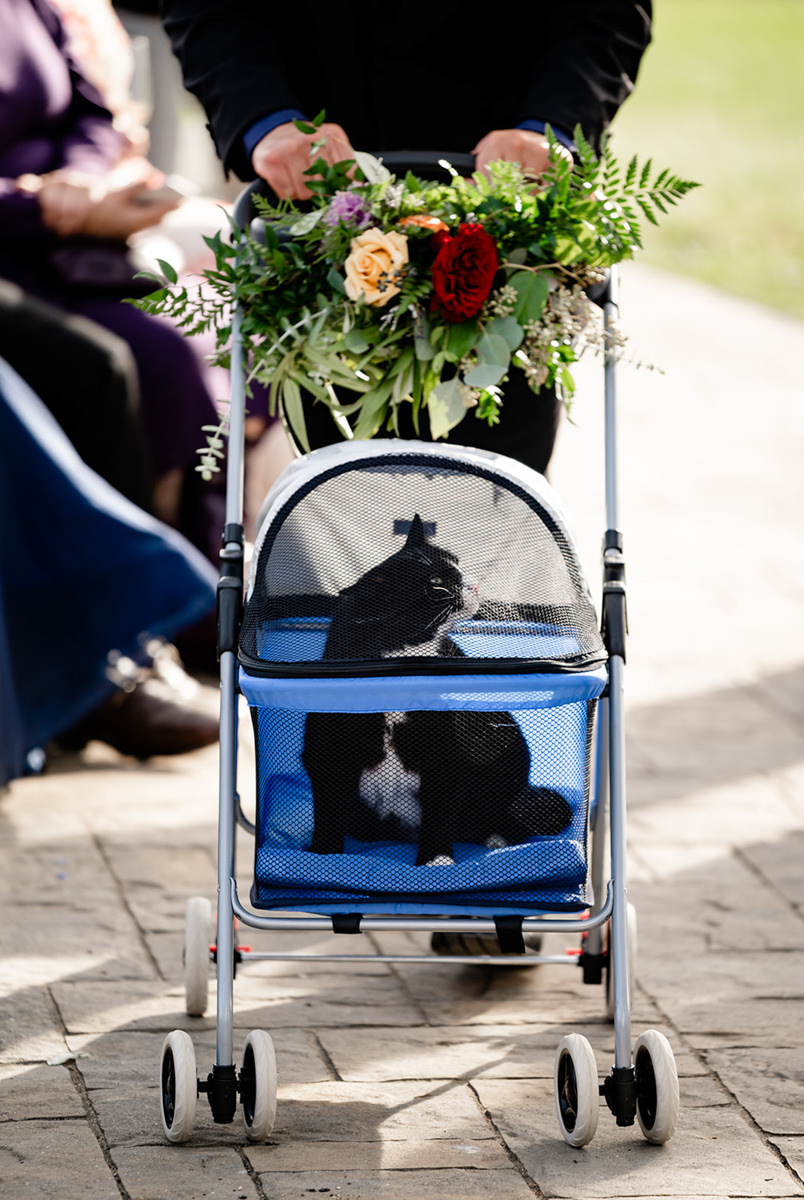 triple s ranch calistoga wedding photography 55