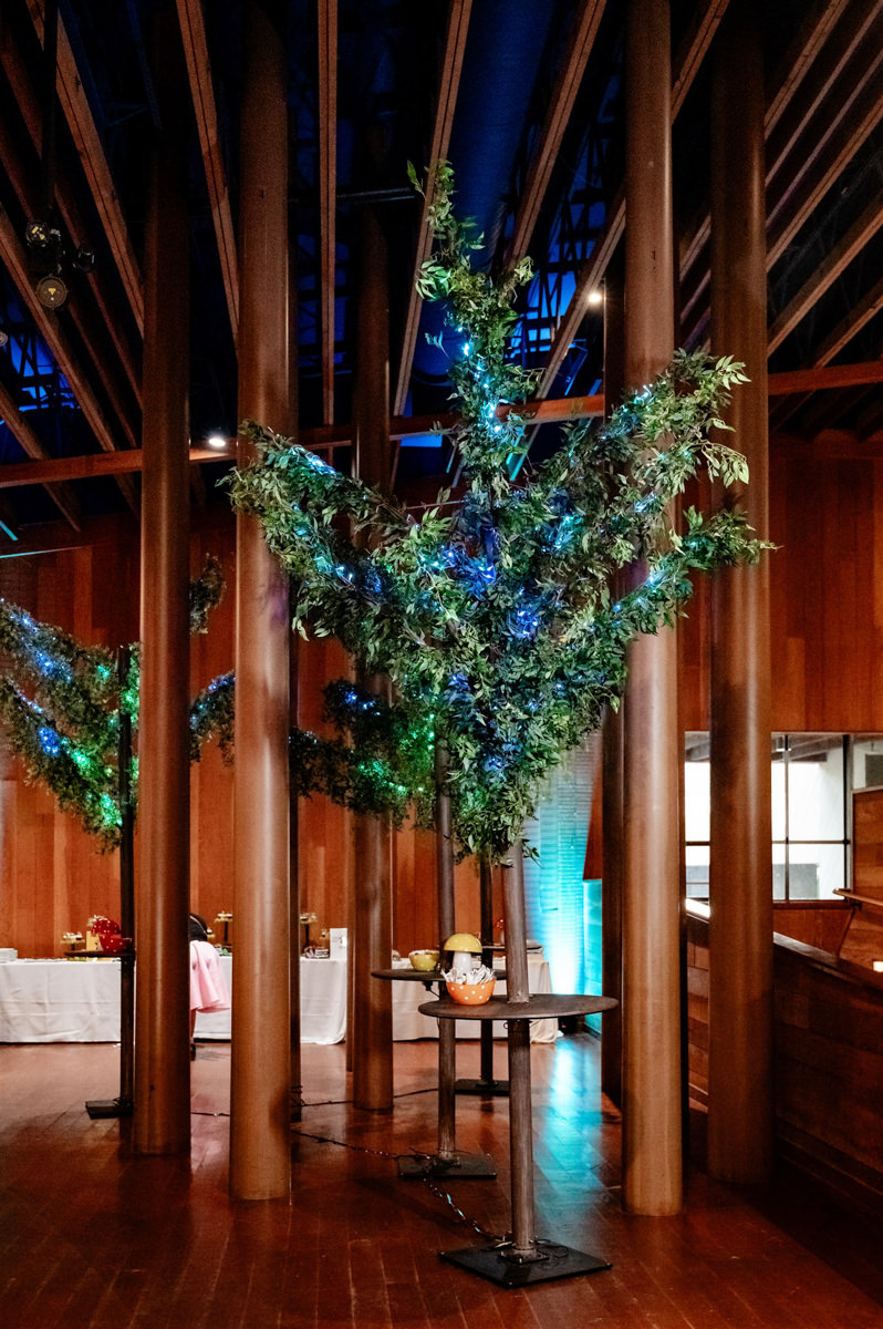 CuriOdyssey san mateo wedding photography 27