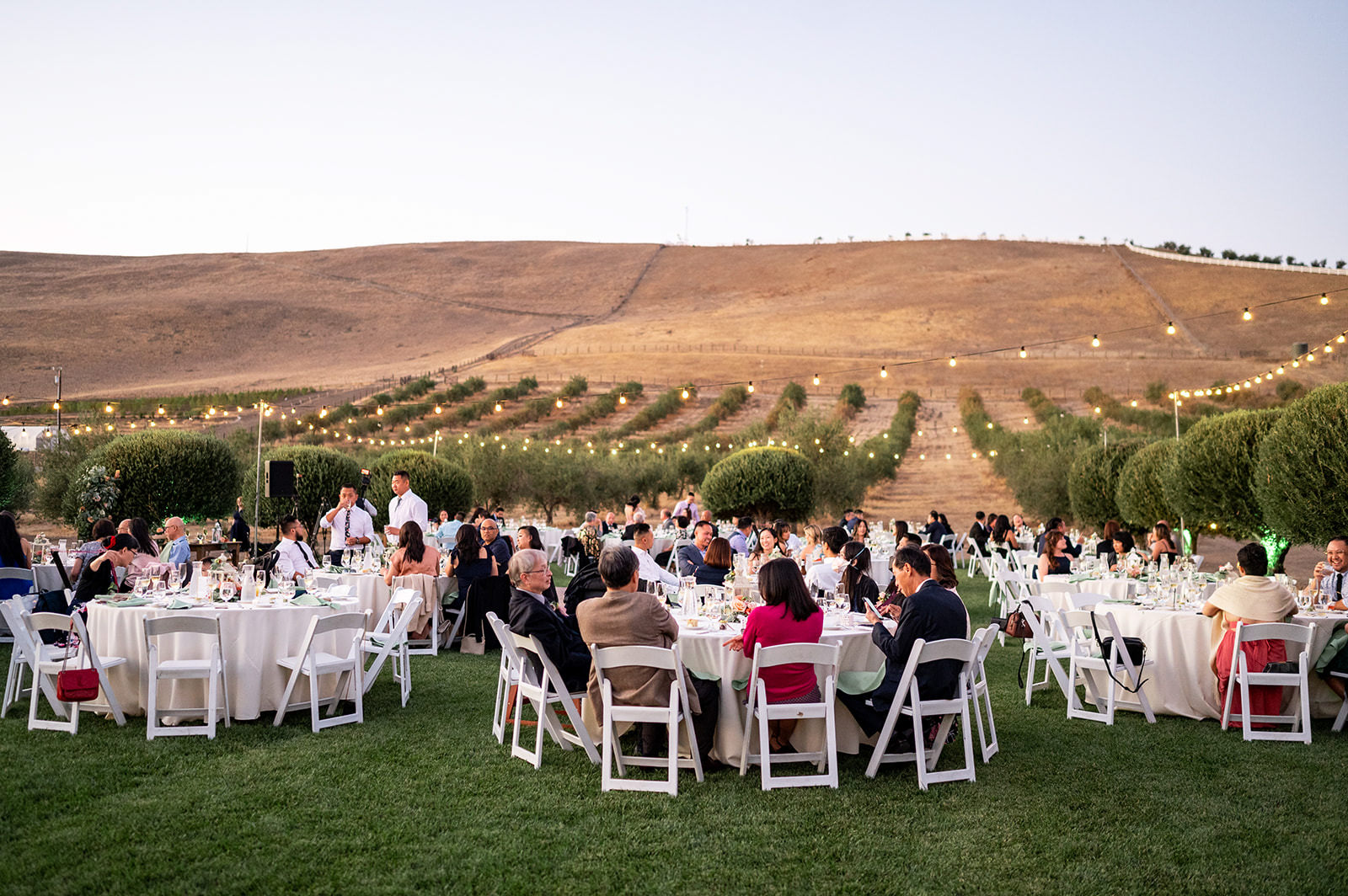 purple orchid resort wedding photography 106