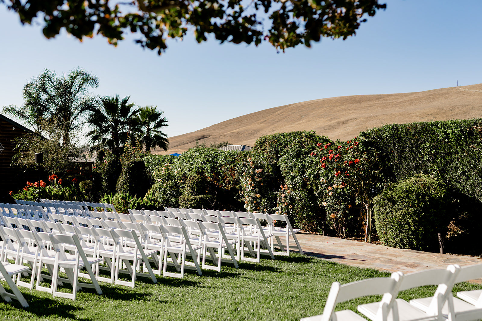 purple orchid resort wedding photography 57